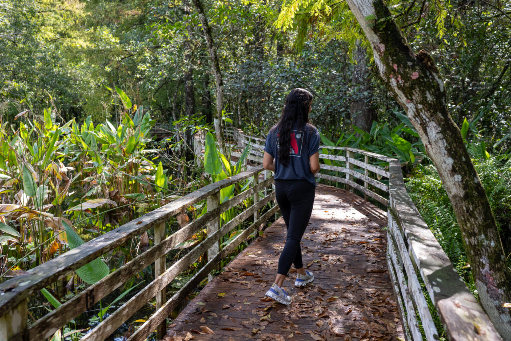 Corkscrew Swamp Preserve Summer Solstice 2025