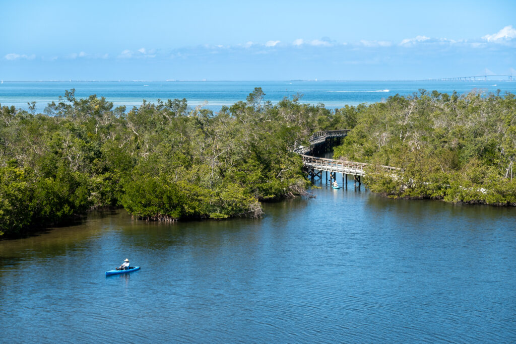 Adventurist Sara's Biased Guide to Vanlife in Wild Florida