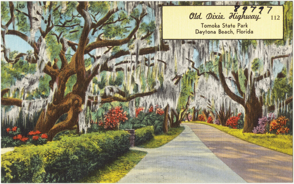 Daytona Beach Bike Week 2025: Old Dixie Highway in Tomoka State Park