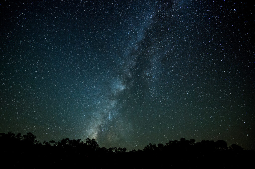 Milky Way shines above silhouetted trees - Explore Wild Florida with These 6 Nature Apps 