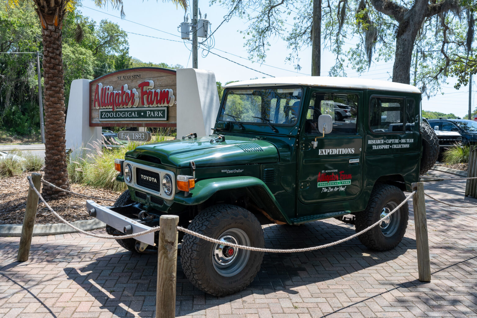 Wild Adventures at the St. Augustine Alligator Farm - Live Wildly