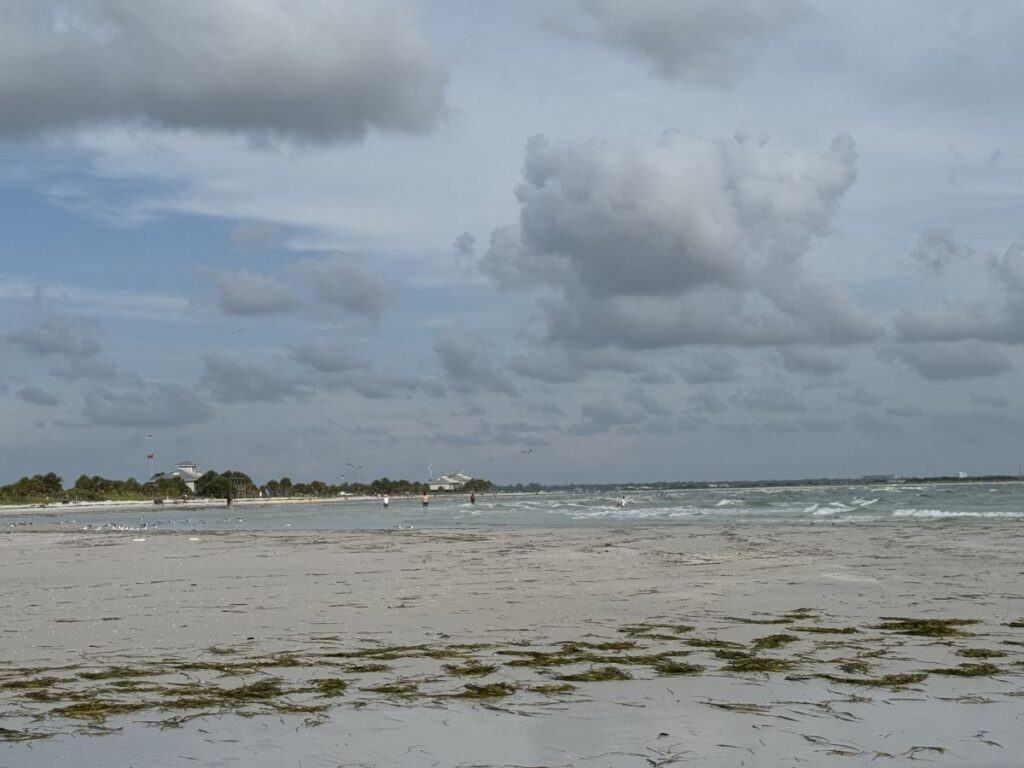 Honeymoon Island