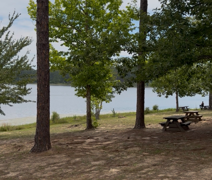 Blackwater State Forest