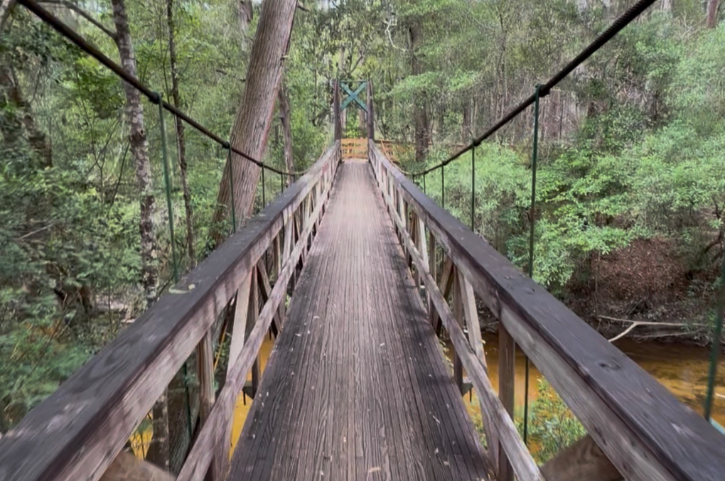 Blackwater State Forest