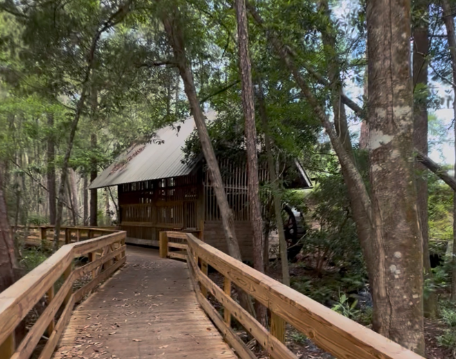 Blackwater State Forest