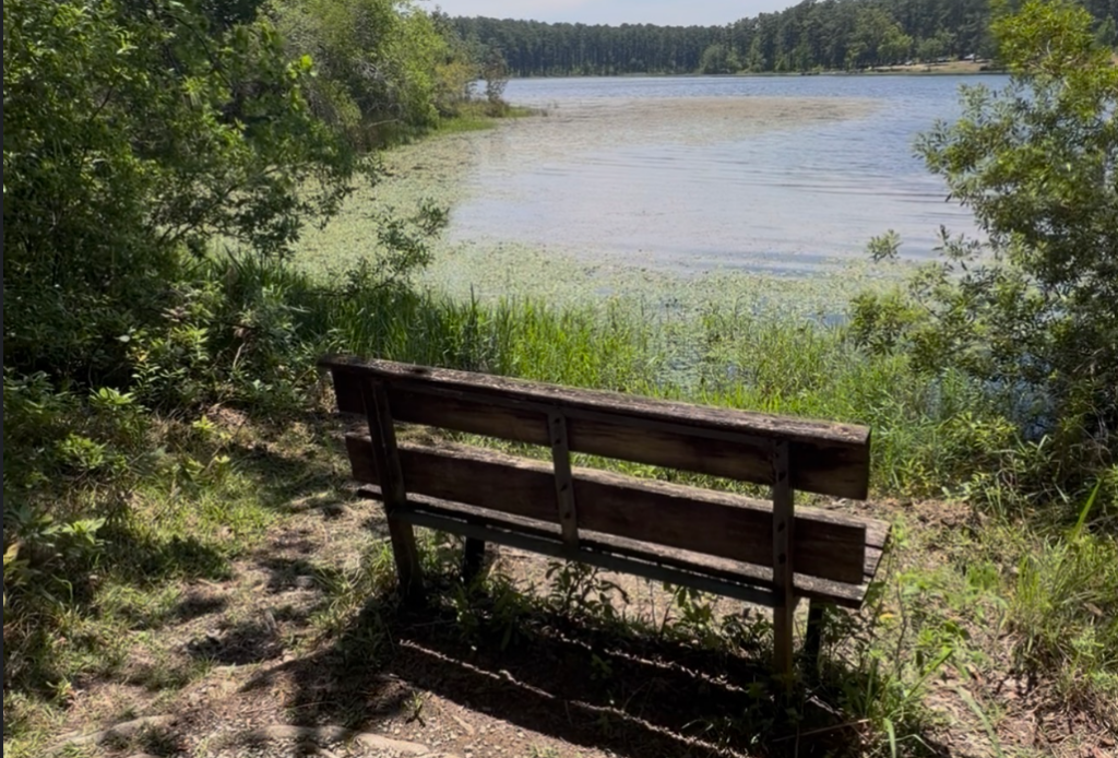 Blackwater State Forest