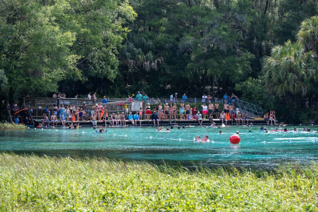 large group swimming