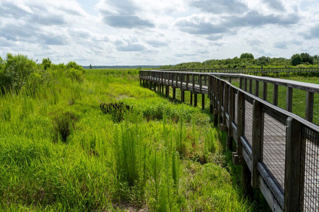Florida's Conservation Gains
