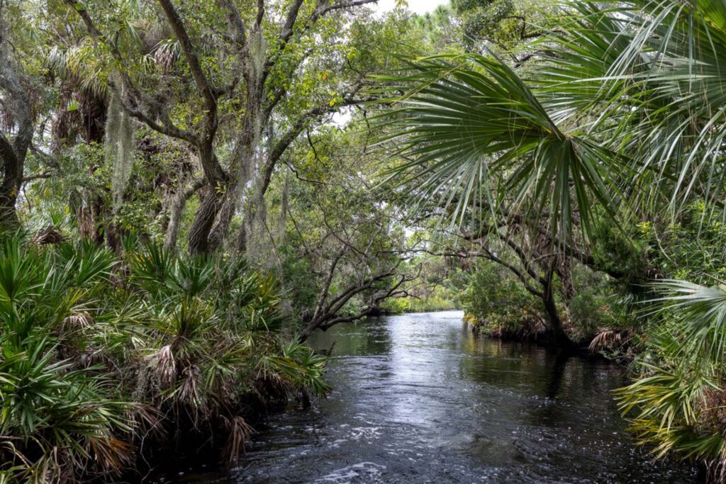 One Leader Has Advanced Florida Conservation Across Two Roles