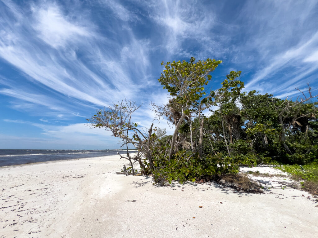 Photo of beach at Delnor wiggins pass state park for the Florida Nature Events in September