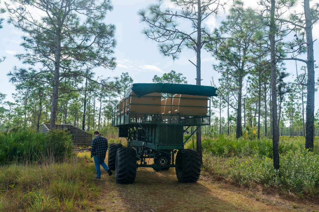 Swamp buggy at Disney Wilderness Preserve