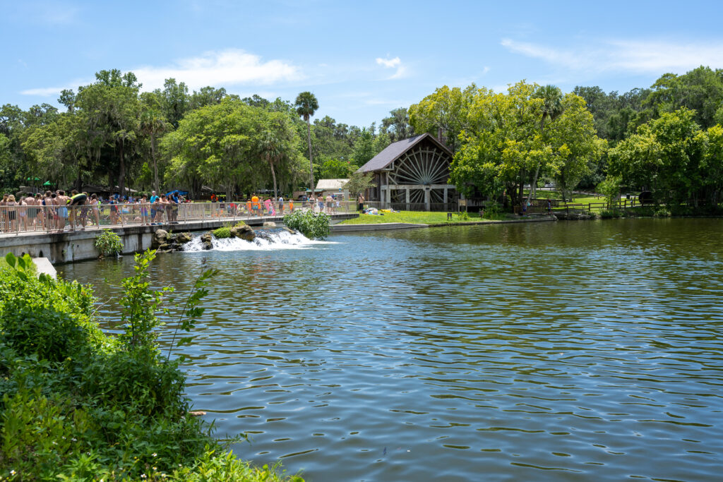 De Leon Springs: Swimming and Pancakes in Wild Florida - Spring