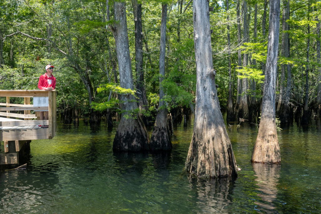 Discover the Wonders of Morrison Springs - Walk the boardwalk over the springs