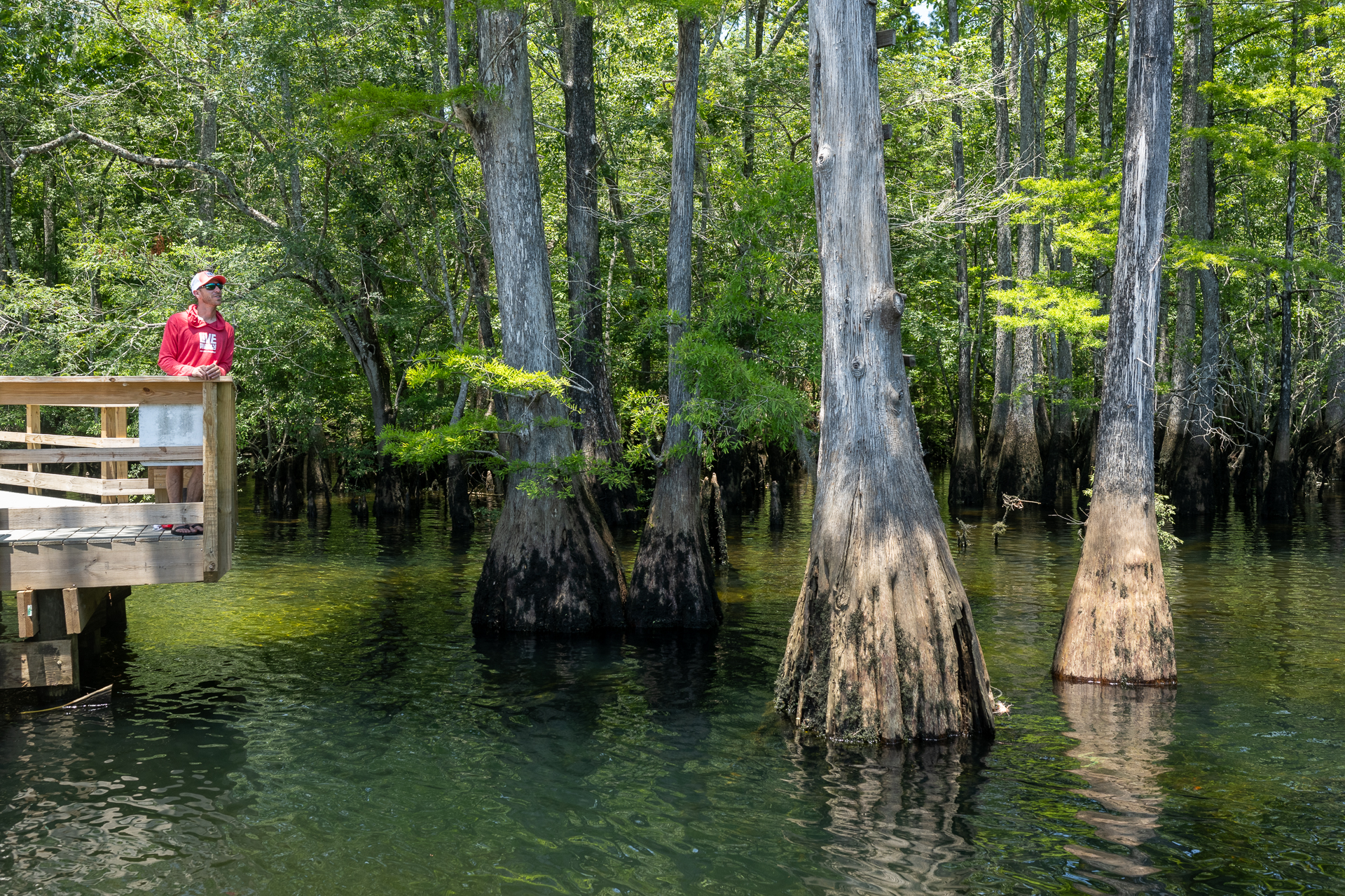 Discover the Wonders of Morrison Springs - Live Wildly