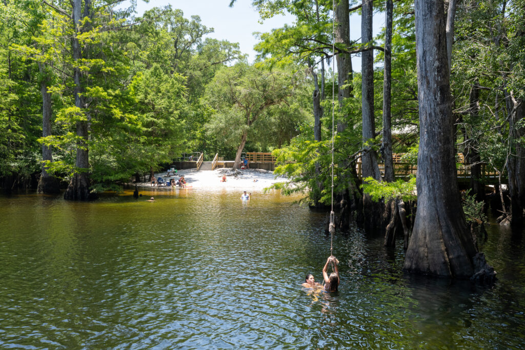 Discover the Wonders of Morrison Springs - Swimmers at the rope swing