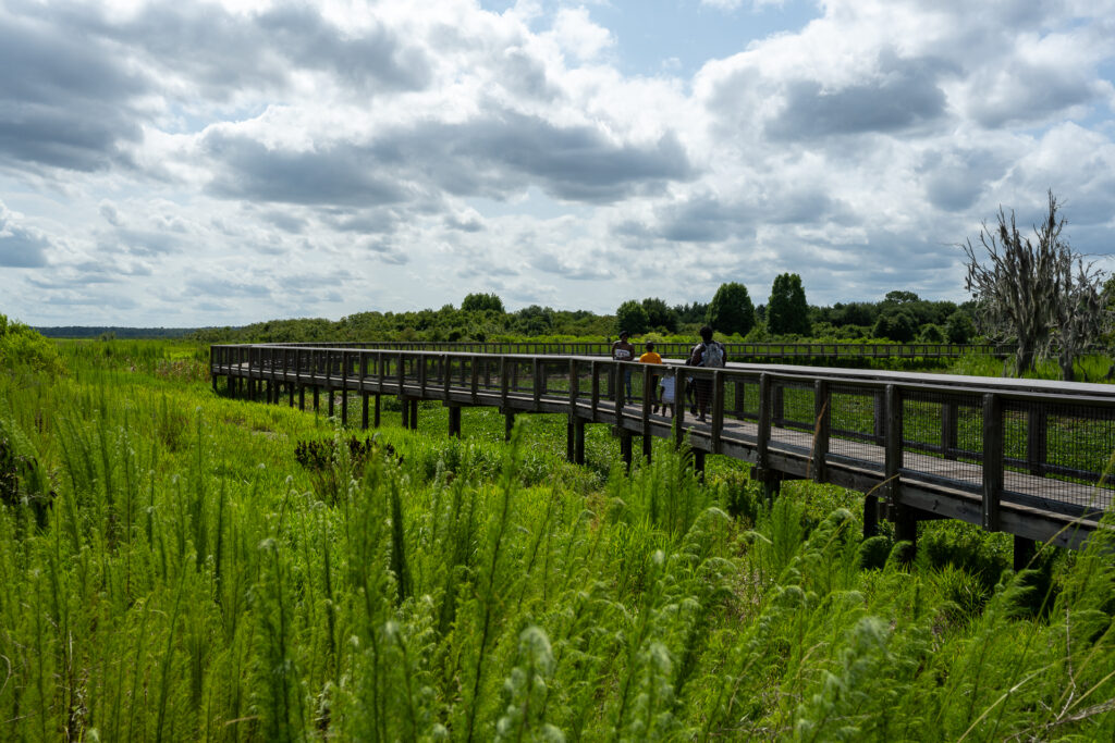 HIGHLIGHTS Paynes Prairie Preserve State Park Sara Sheehy Camera 6