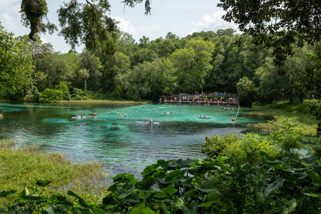 Rainbow Springs: A Visitor’s Guide - Swimming hole
