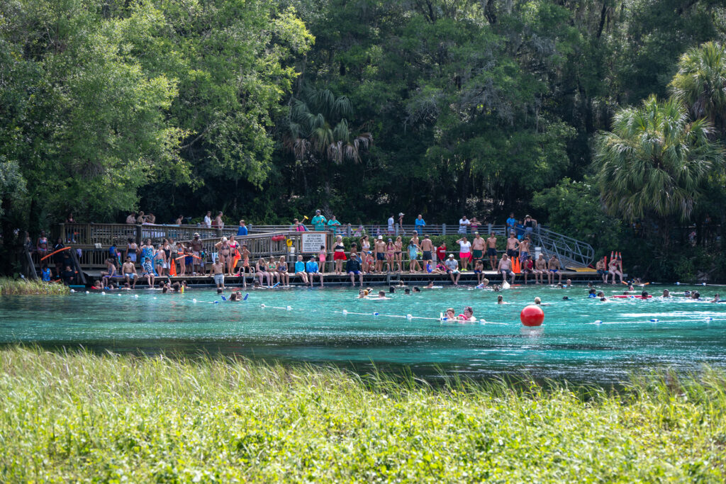 Rainbow Springs: A Visitor’s Guide - Swimming