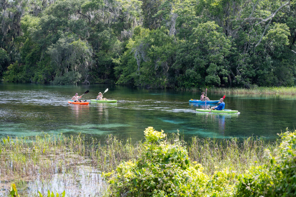 Rainbow Springs: A Visitor’s Guide - Kayaking