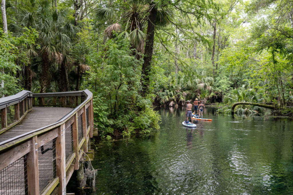 Silver Springs State Park - Kayakers and a boardwalk