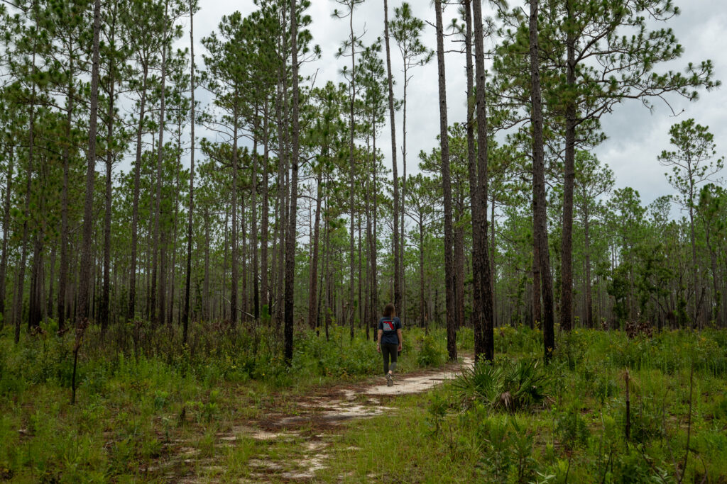 Silver Springs State Park - Hiking