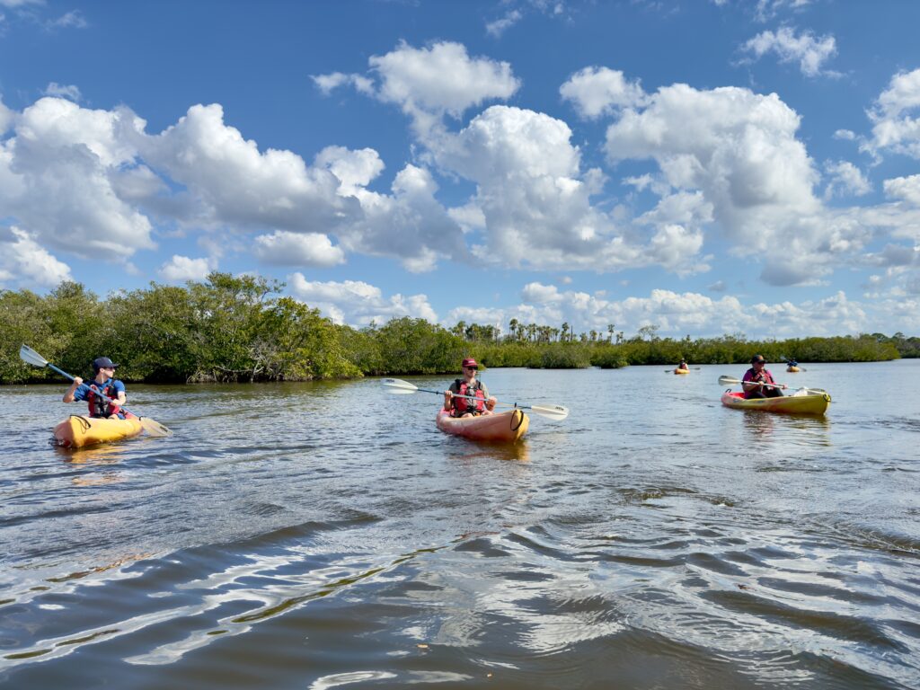Adventure Guide to Werner-Boyce Salt Springs State Park: Paddle with Salty Dog Kayak Rentals