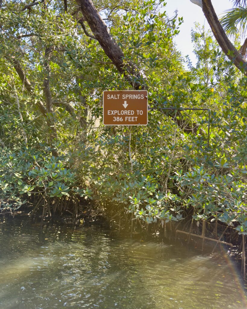 Adventure Guide to Werner-Boyce Salt Springs State Park: 386-foot deep Salt Springs