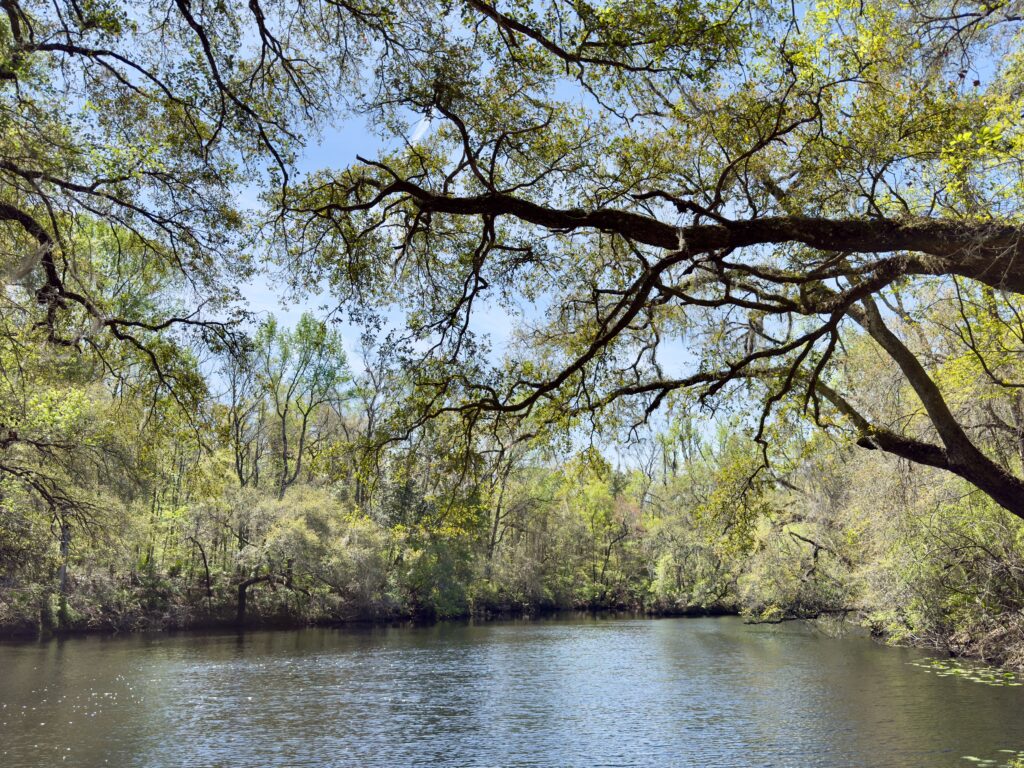 River Rise Preserve State Park Summer Solstice 2025