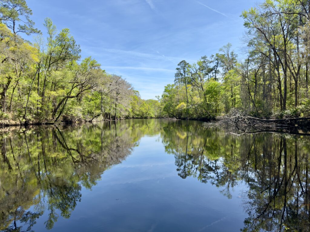 River Rise Preserve State Park Summer Solstice 2025
