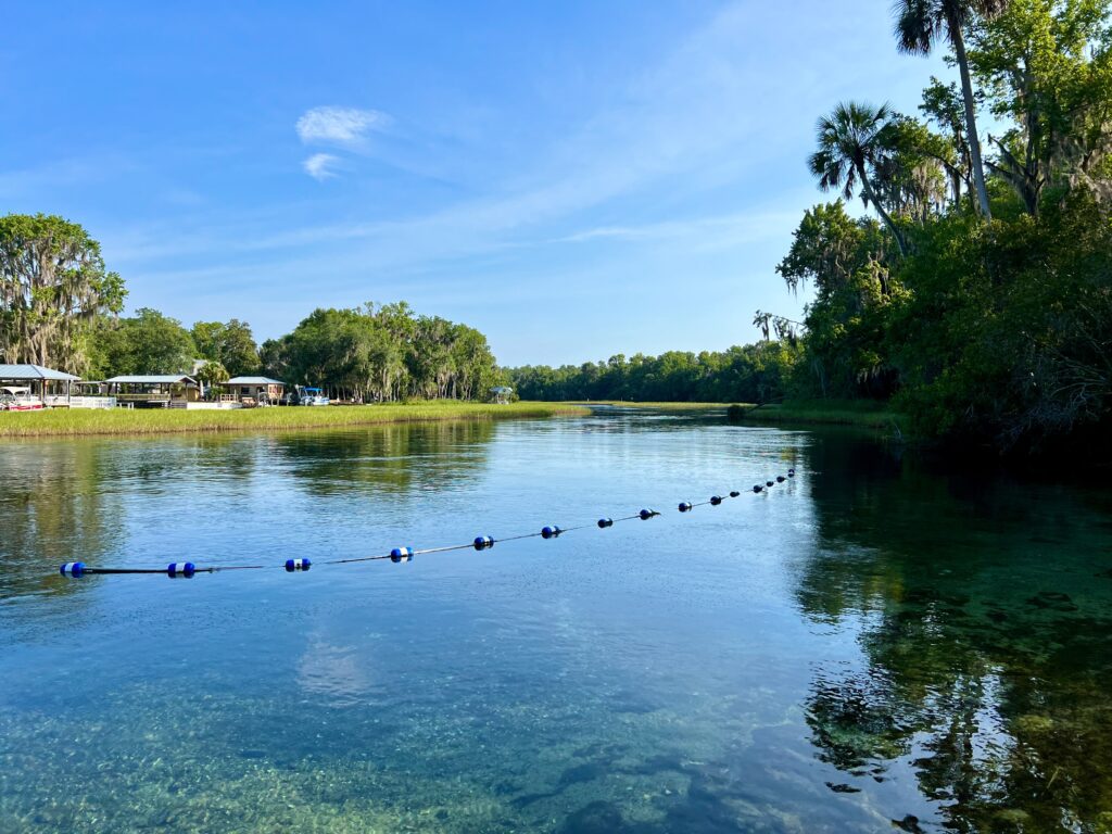 Rainbow Springs: A Visitor’s Guide - Swimming
