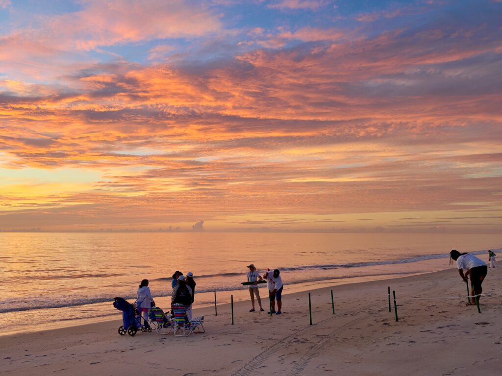 Wonderful Wild at the Tour de Turtles: Sunrise over the Atlantic