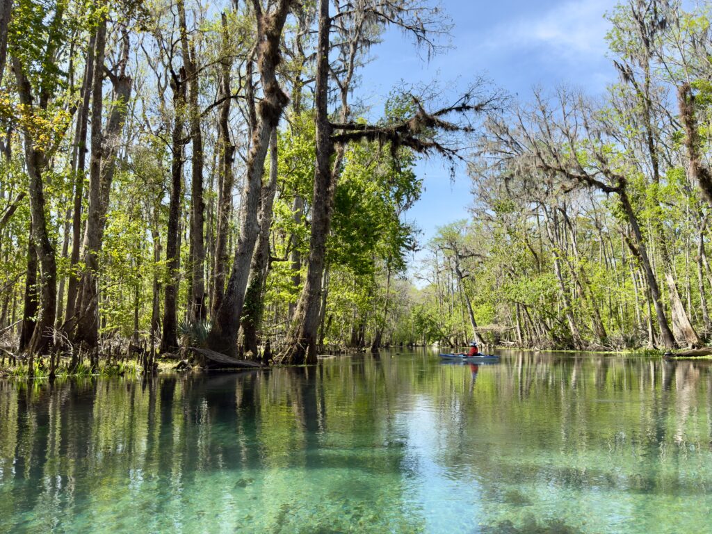 Ichetucknee Springs State Park: Kayaking