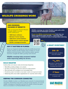 Info Crossings Study One Pager