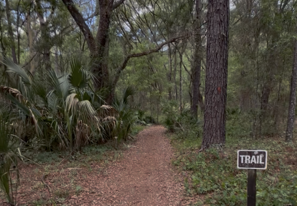 Marshall Swamp