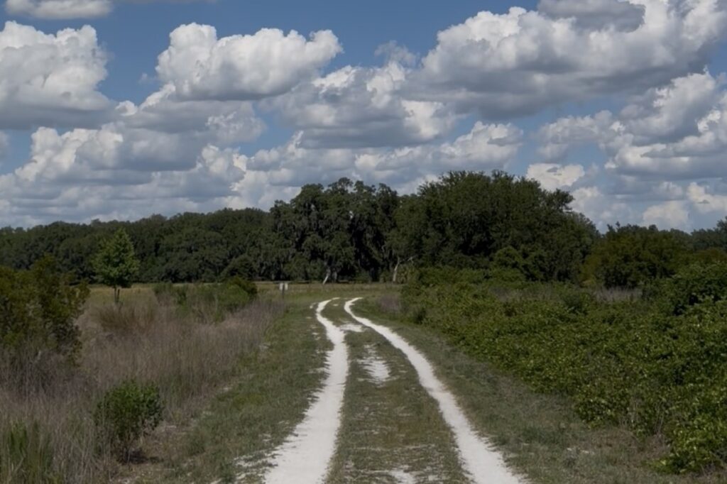 Pruitt Trailhead