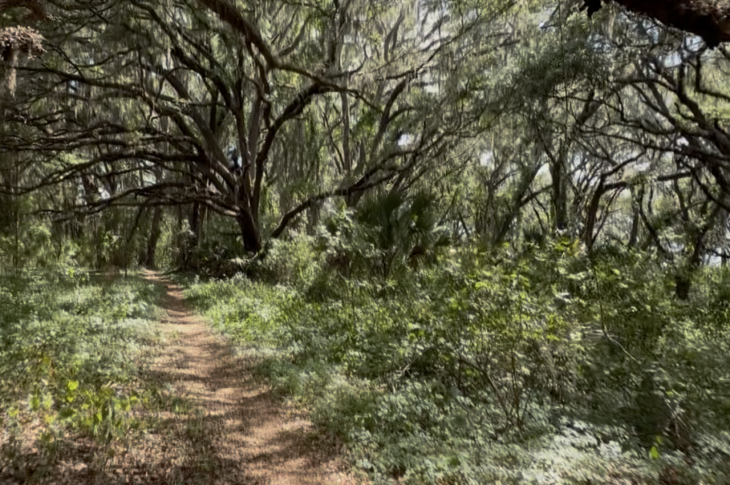 Six Ways to Explore the Cross Florida Greenway