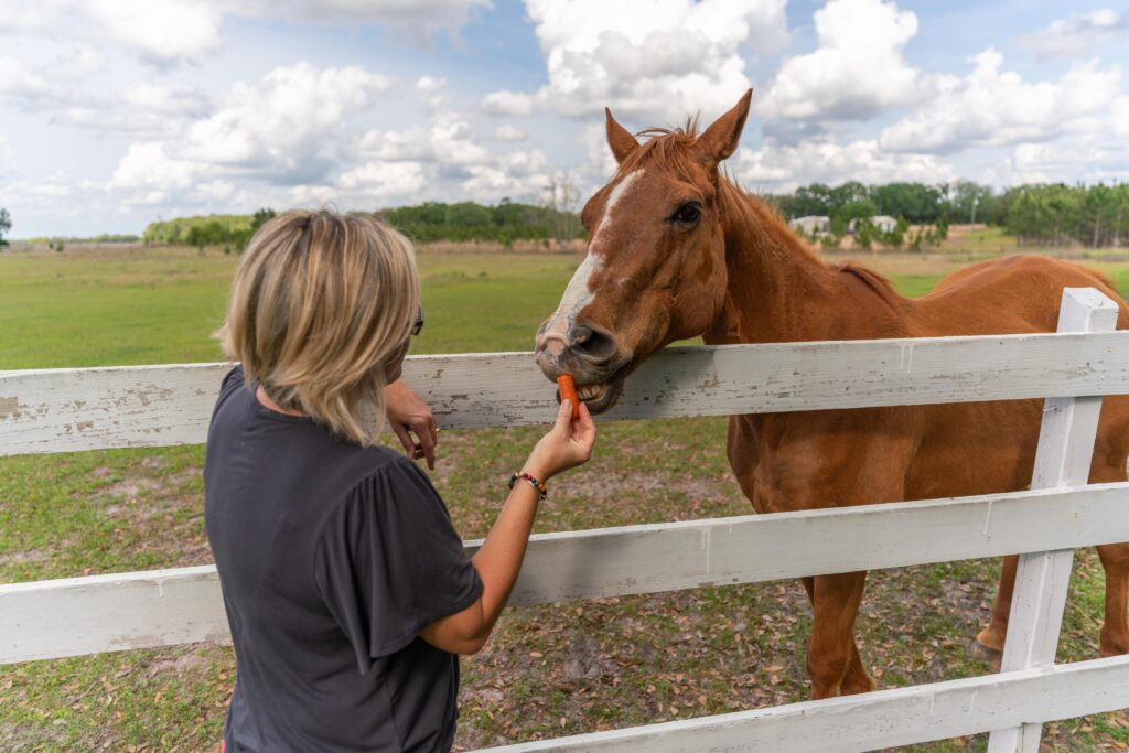 Kokomo Farms in Live Oak