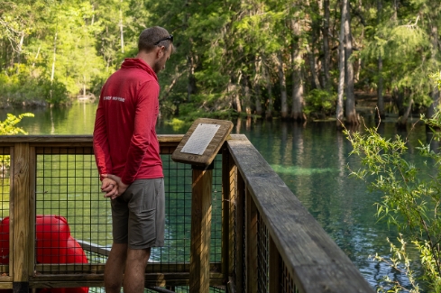 Manatee Springs Manatee Springs