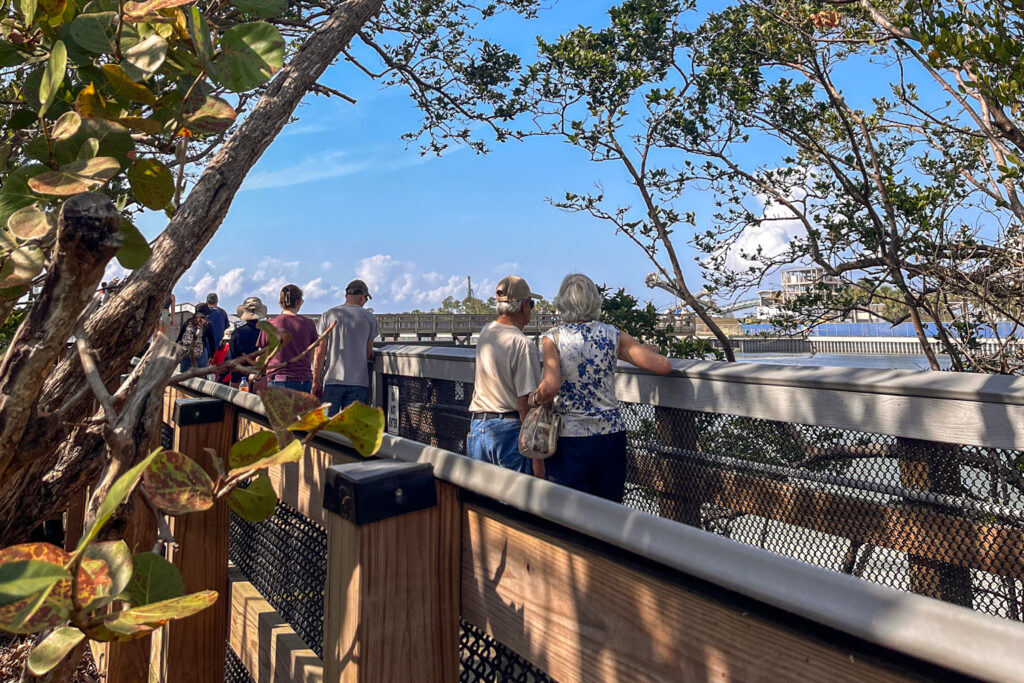 The best places to see manatees in Florida