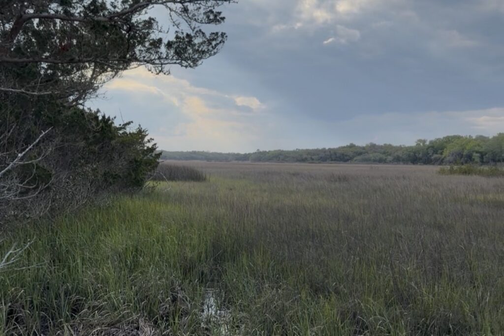 Moses Creek Conservation Area
