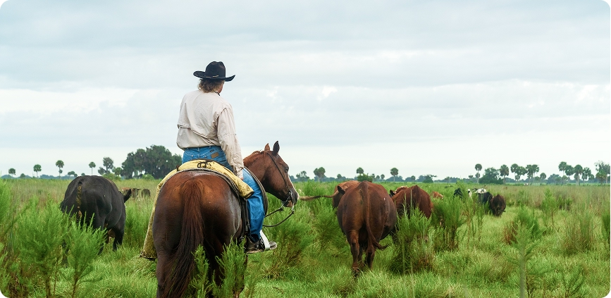 Natural Working Lands Conservation