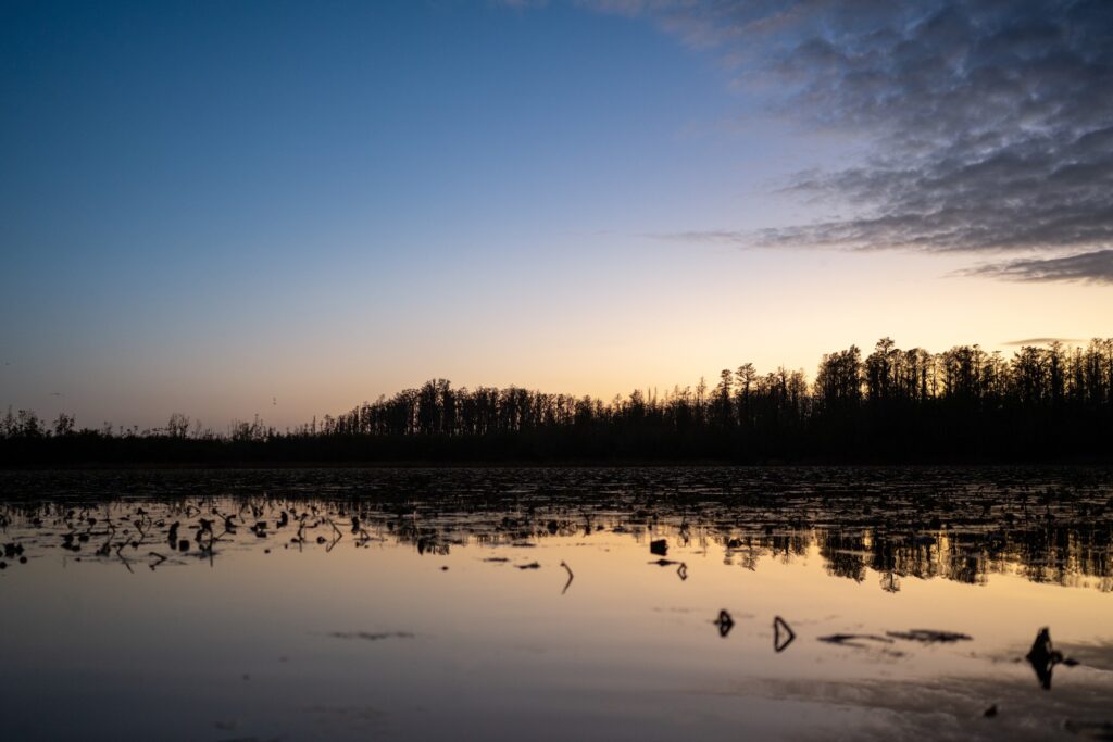 Photo of a dark blue and light orange sunset at the top, a treeline in the middle and the sunset reflected in the okefenokee swamp at the bottom For the article Florida Nature Events This July