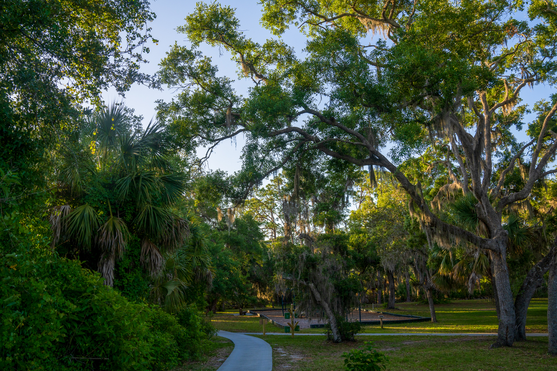 Oscar Schaere State Park 11