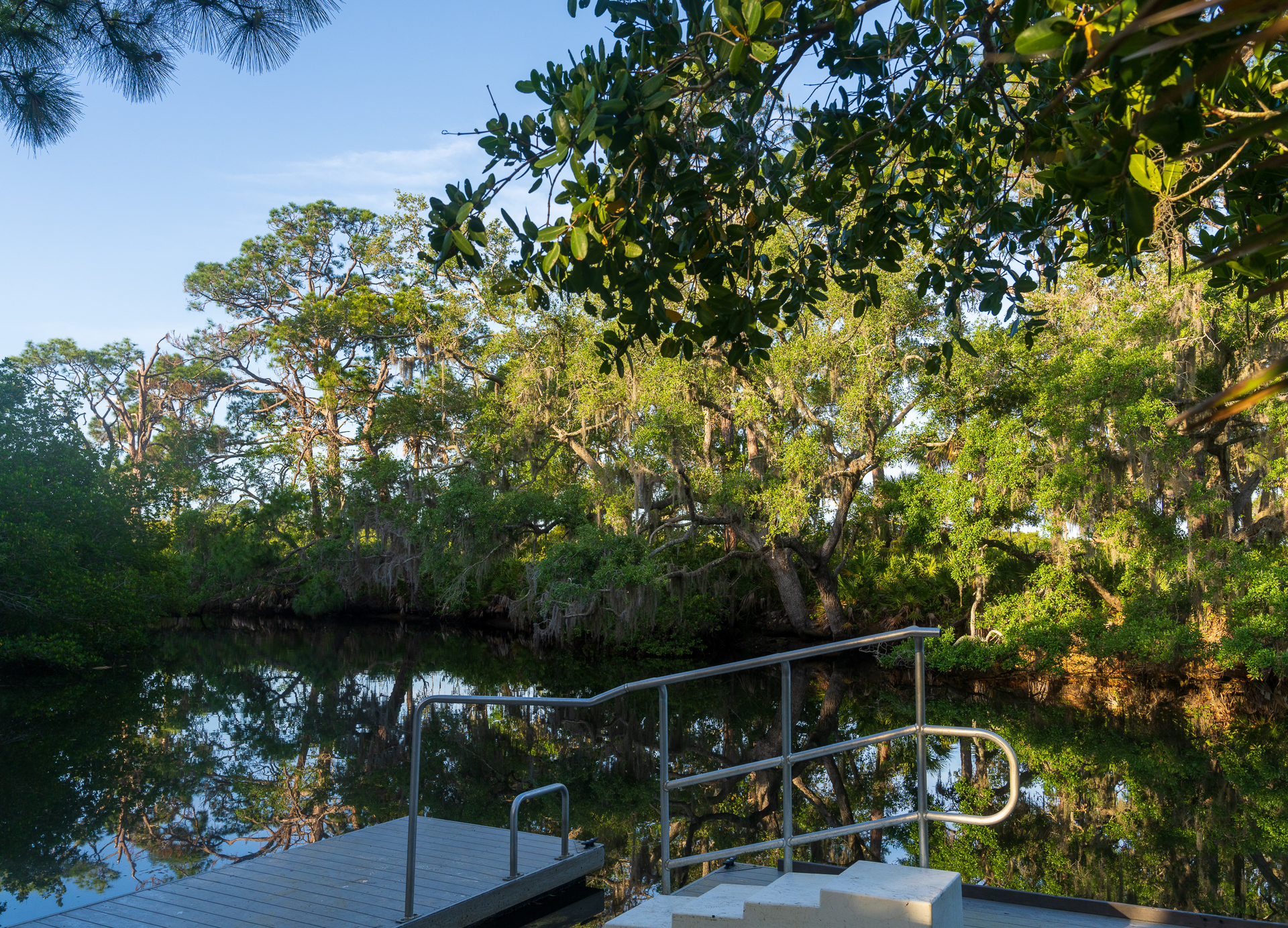 Oscar Schaere State Park 15