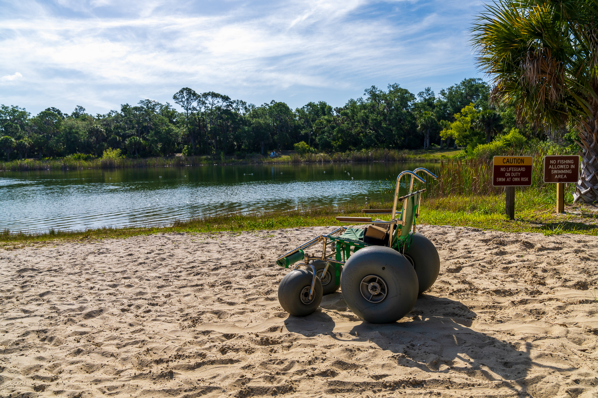 Oscar Schaere State Park 49