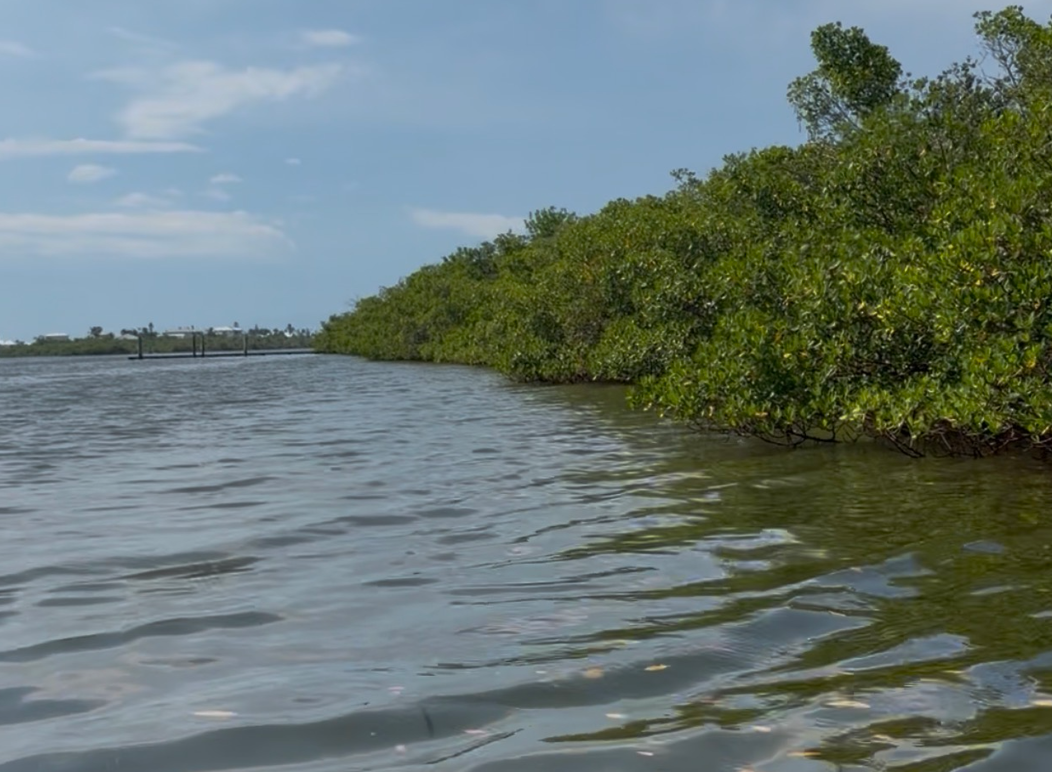 Don Pedro Island