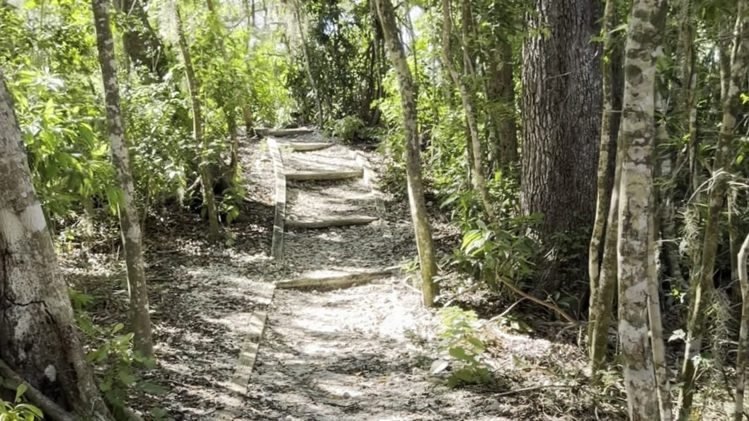 Emerson Point Preserve