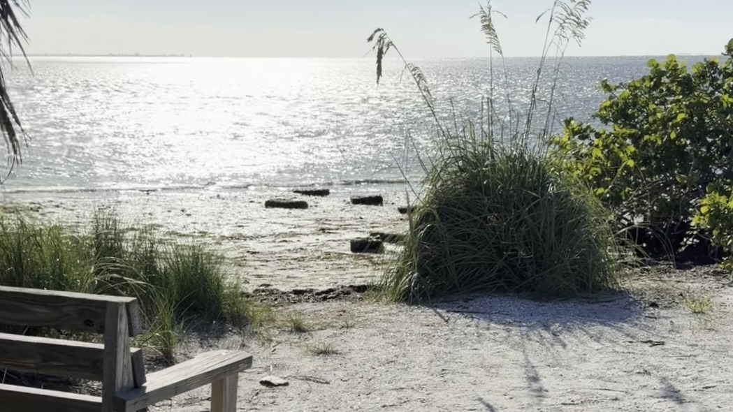 Emerson Point Preserve