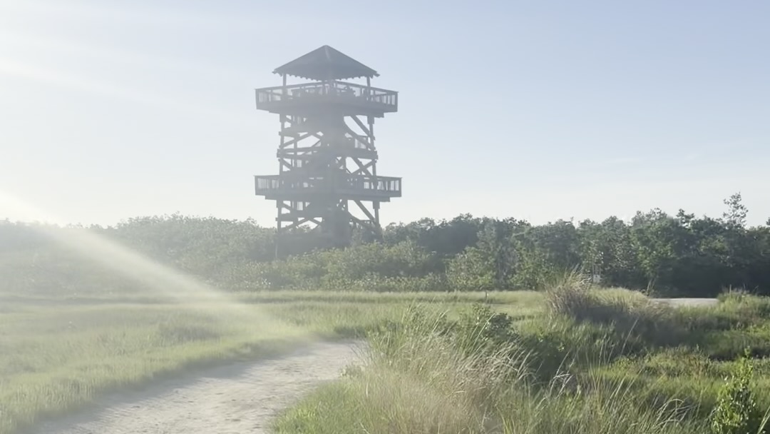 Robinson Preserve
