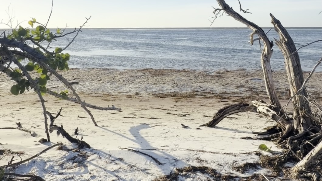 Robinson Preserve